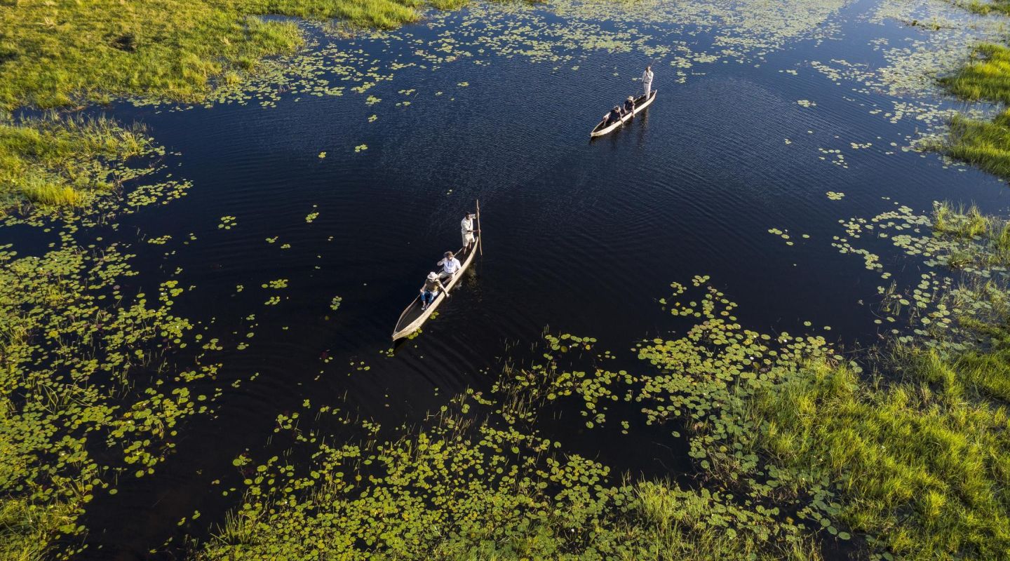 Traditional mokoro canoe floating through the serene waters of the Okavango Delta