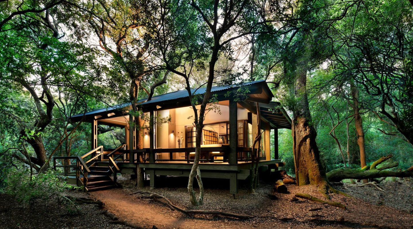 Suite Exterior at Phinda Forest Lodge, a luxury safari lodge in South Africa