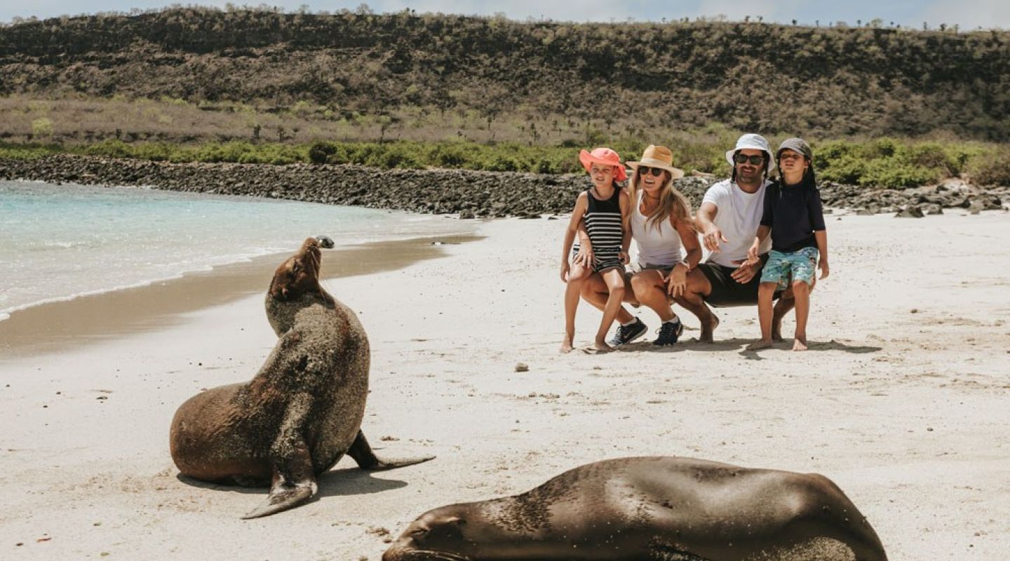 Meeting Galapagos' friendly sea lions