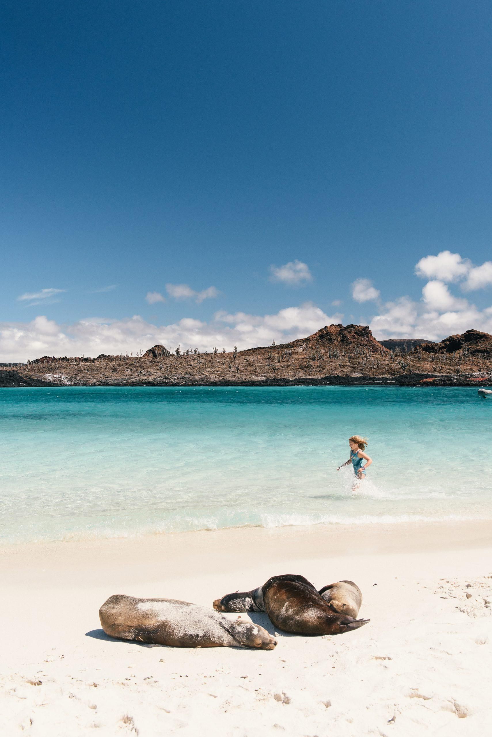 Ecoventura Galapagos sea lion family travel