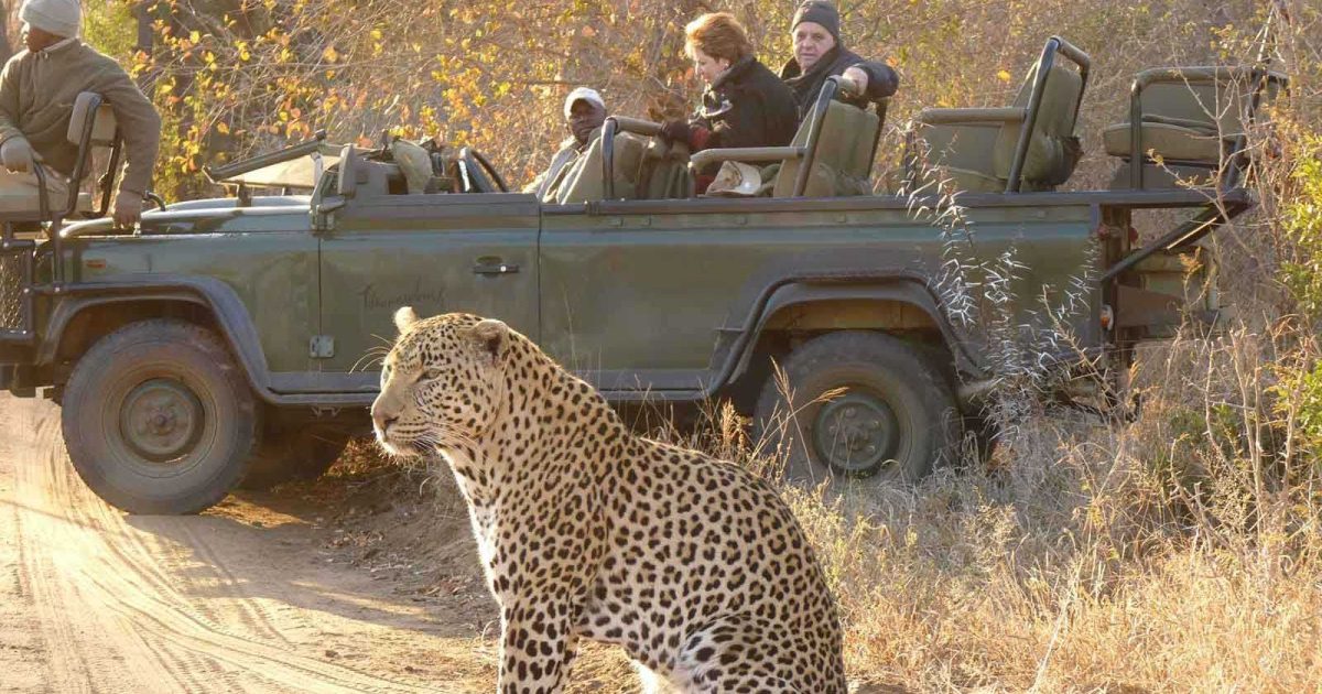 Niarra Travel | Best Safari Honeymoons in Africa