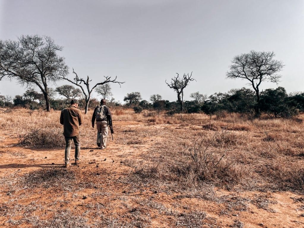 Thornybush walking safari