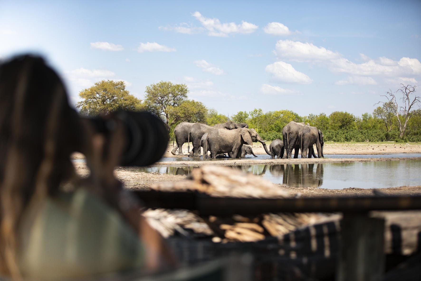 A woman taking a photo of elephants at a watering hole at Hwange National Park