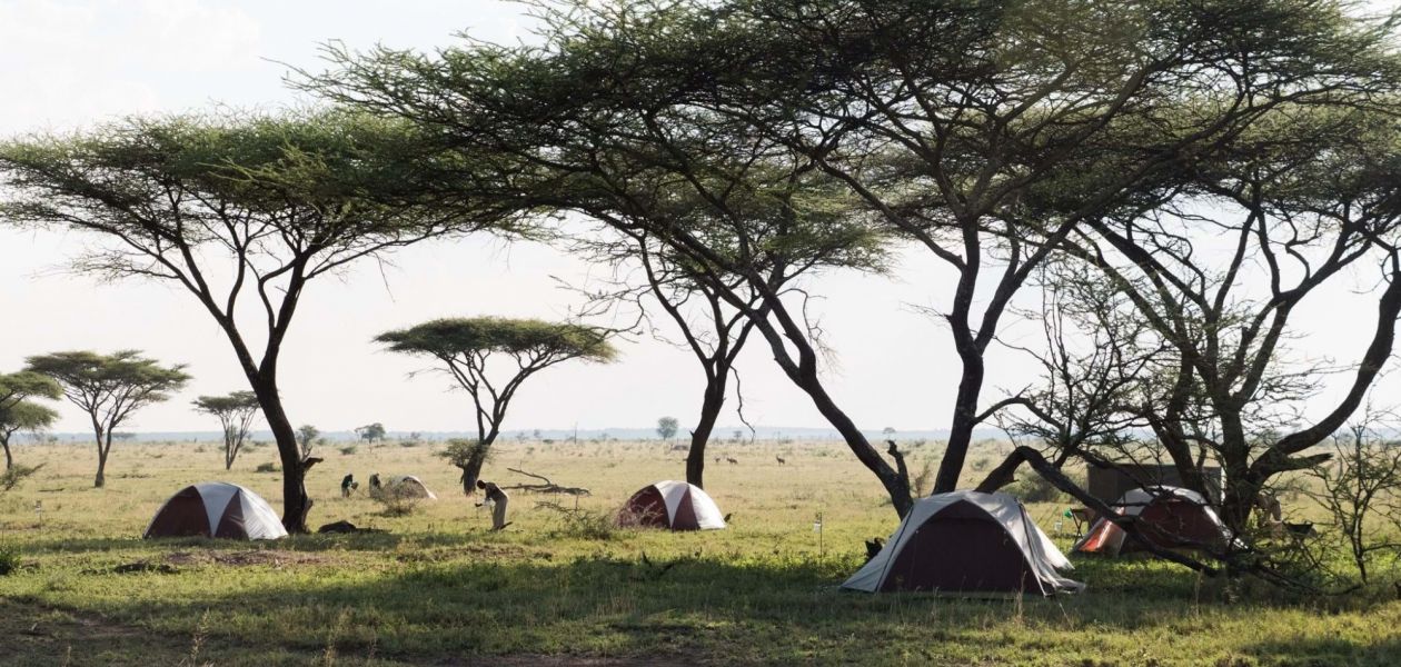 Wilderness opens camp in the Serengeti