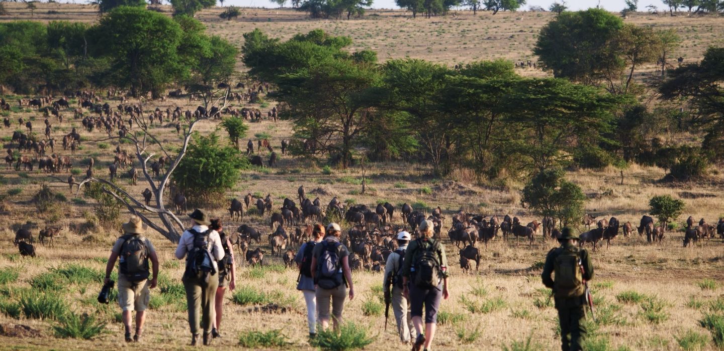 Best way to see the Great Migration, private luxury mobile safari camp –  The Explorations Company