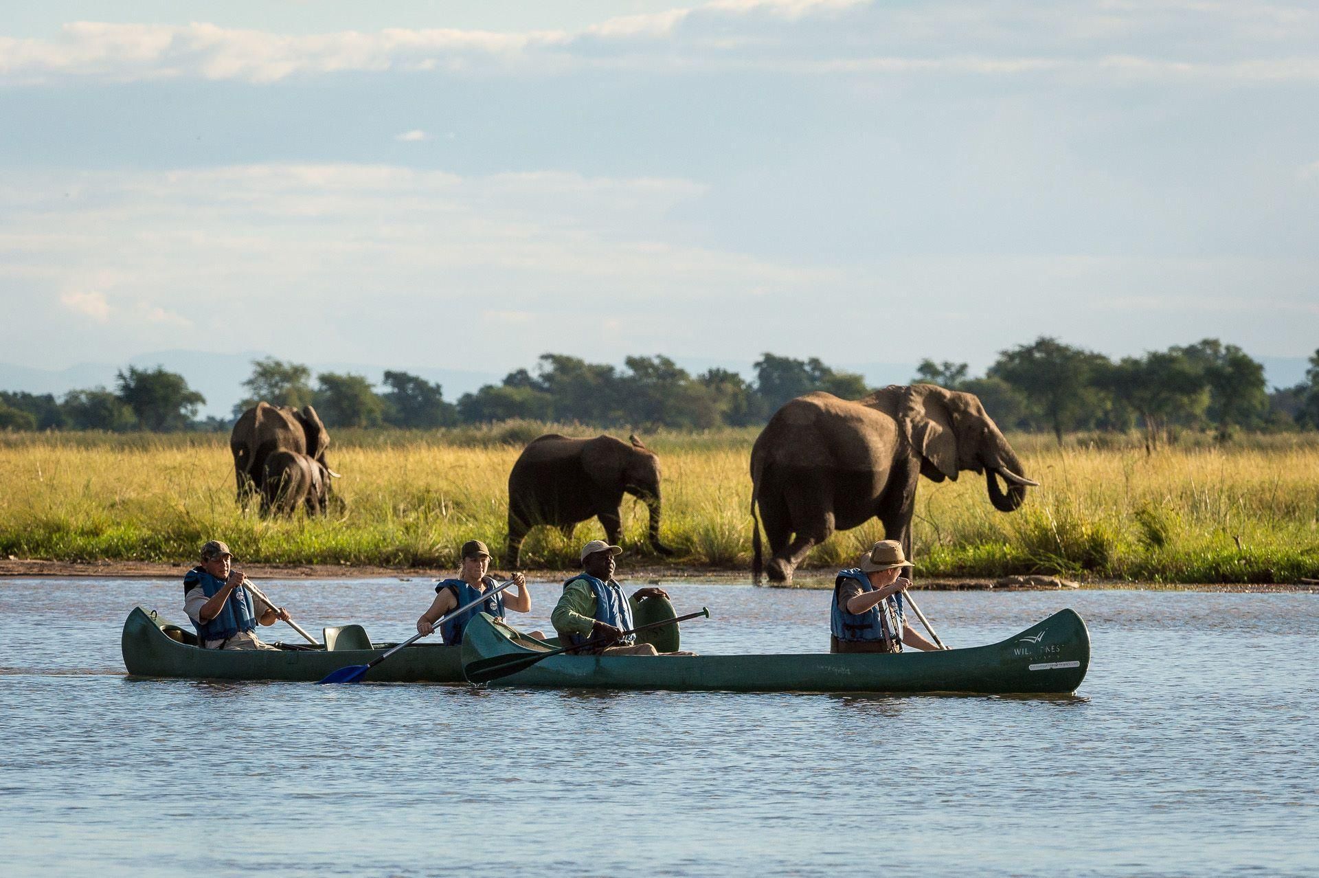 Safari by boat: Canoeing in Ruckomechi next to elephants