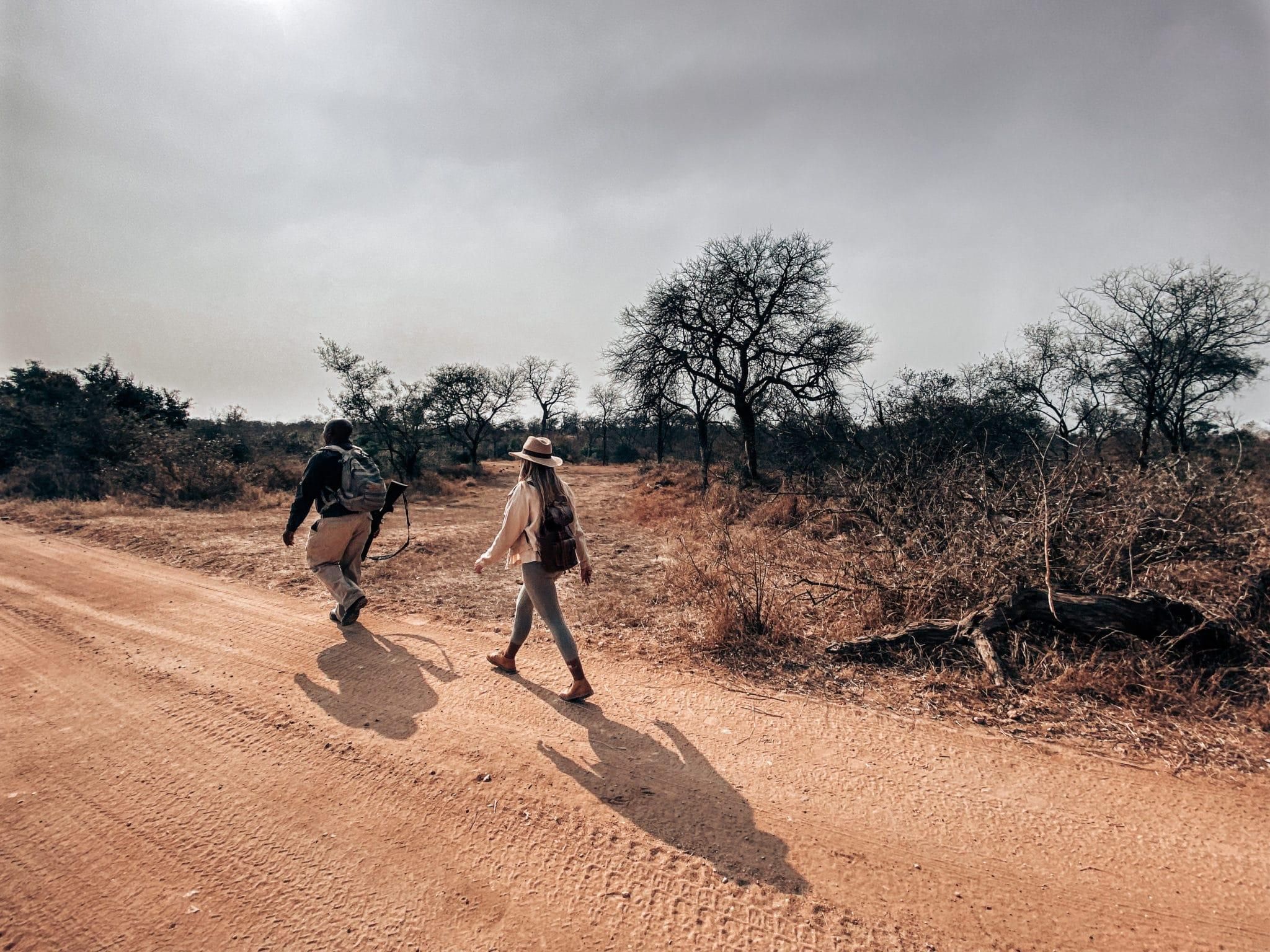 Walking safari in Thornybush