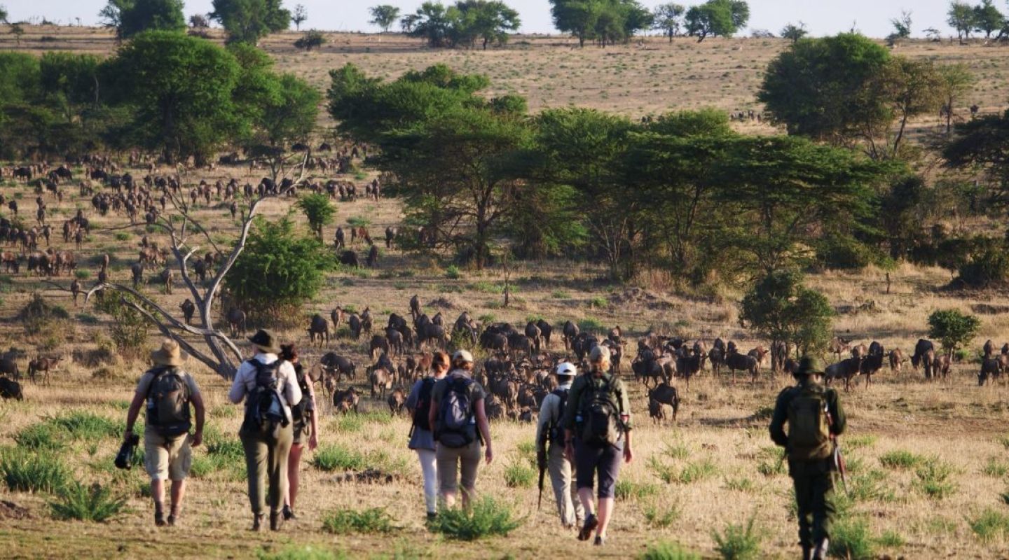 AF Tanzania Serengeti Wayo Walking Migration